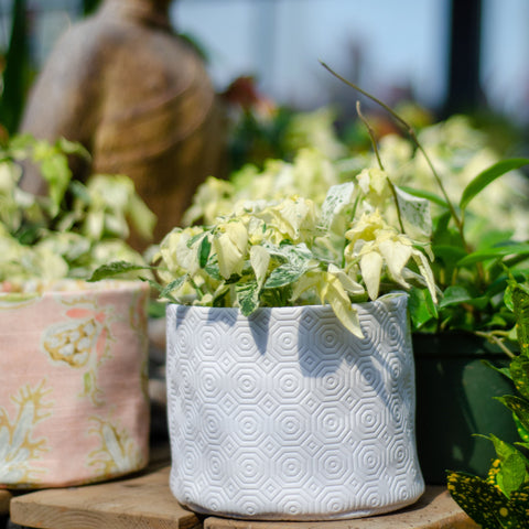 fabric plant pot pattern 6" handmade fabric pot – Serres Lavoie