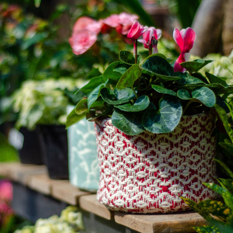 ACYOUNG Lot de 6 sacs de culture pour plantes, pots de fleurs en tissu ACYOUNG Lot de 6 sacs de culture pour plantes, pots de fleurs en tissu