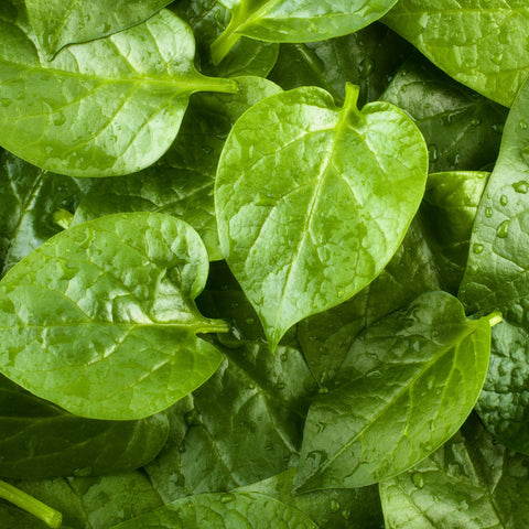 Spinach Malabar Vegetables