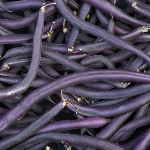 Bean Purple Vegetables