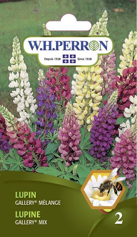 Lupine gallery seeds mixed