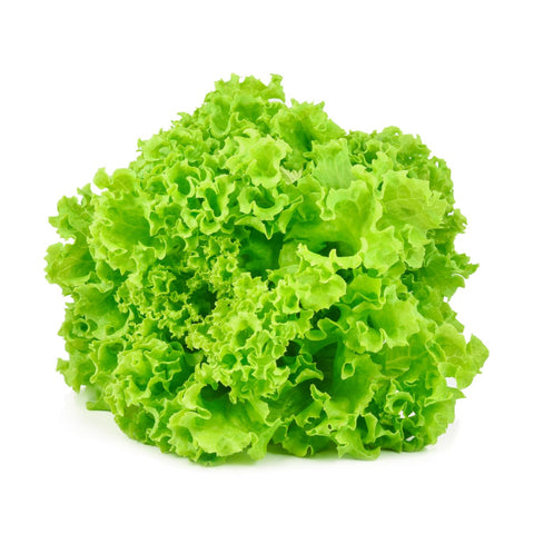 Green Lettuce Lettuce Vegetables