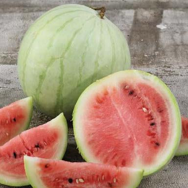 Organic King And Queen Winter Watermelon Seeds