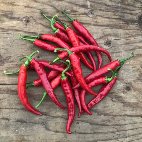 Ring Of Fire Cayenne Pepper Seeds *organic*