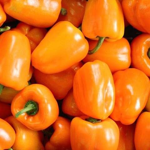 Orange Pepper (Patio) Vegetables