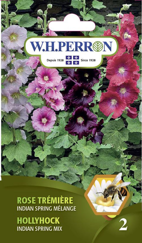 LOT DE 10 Graines De Cerisier Sainte Lucie Semences Graines Fruitier Bonsaï Seed EUR 4,89 - FR LOT DE 10 Graines De Cerisier Sainte Lucie Semences Graines Fruitier Bonsaï Seed EUR 4,89 - FR