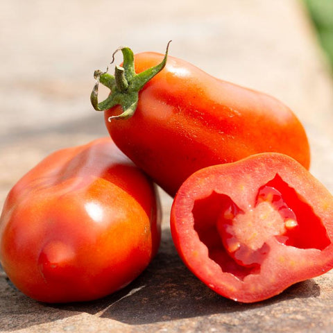 Semences De Tomate Italienne San Marzano *biologique*