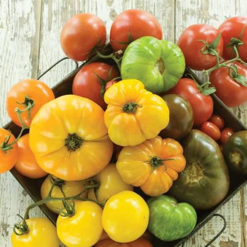 Semences De Tomate En Mélange Gros Fruits *biologique*
