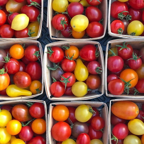 Semences Bio De Tomates En Mélange Petits Fruits Jardins Lécoumène