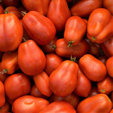 Italian Roma Tomato Seeds *Organic* 