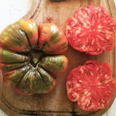 Beefsteak Tomato Seeds Adelin Morin *Organic