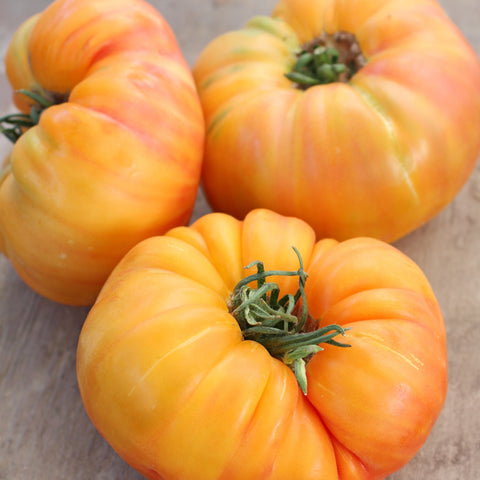 Heritage Tomato Pineapple (Yellow/Orange Marbled Red) Vegetables