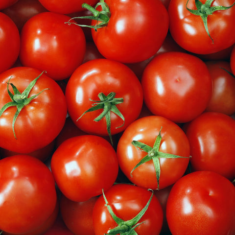 Tomate Rouge Fantastique Légumes