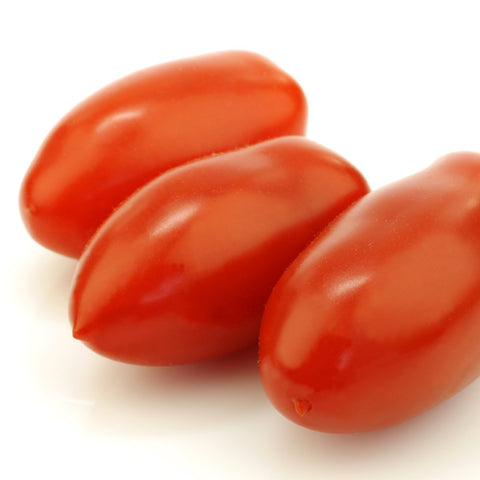 Red Precocibec Tomato Vegetables