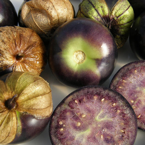 Tomatillo Purple Seeds *organic*