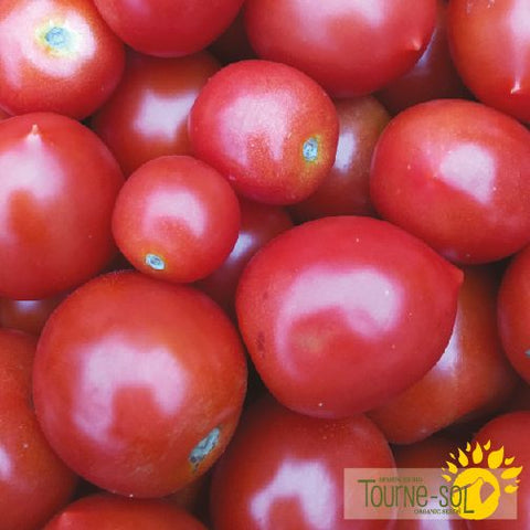 Ruby soul red tomato seeds *Organic*