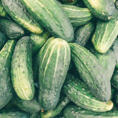 pickle cucumber