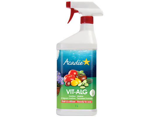 Vit-Alg Acadia Fertilizer