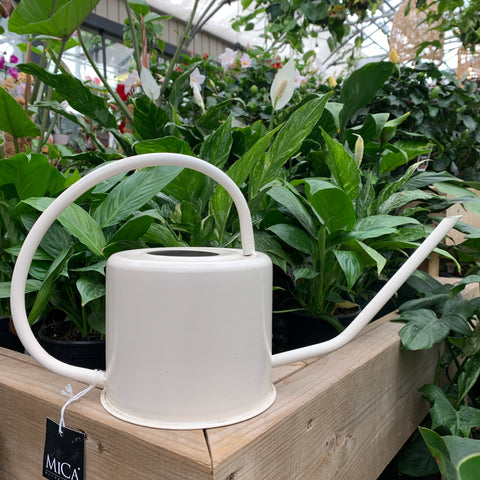 Watering can for plants MICA white