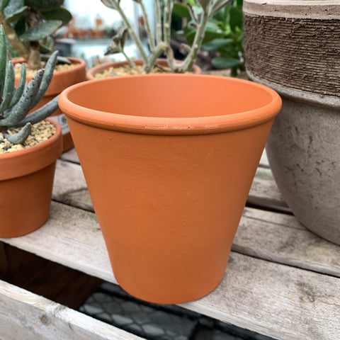 Tall terracotta pot 4 inches x 5 inches