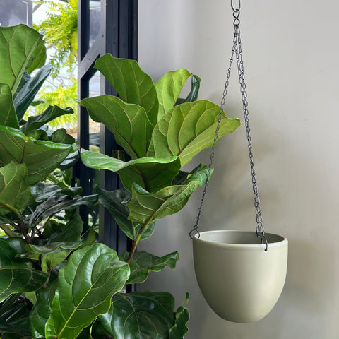 Tusca hanging planter Khaki 7 inches 