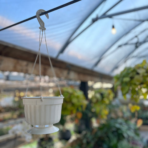 White plastic hanging basket 5.25 inches