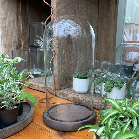 Glass bell (medium)