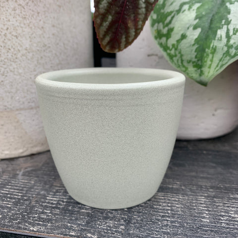 Nubia pale green plant pot 3 inches 