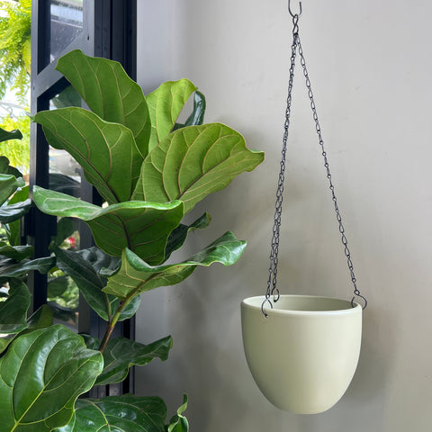 Tusca hanging plant pot pale green 7 inches 