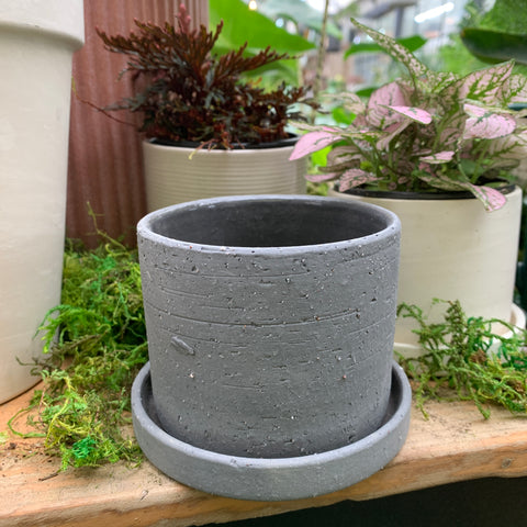 Easton 3 inch pot (charcoal) 