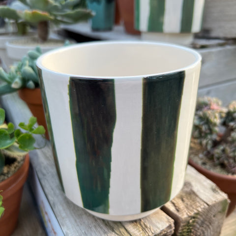 Green lined planter 4.75 inches 