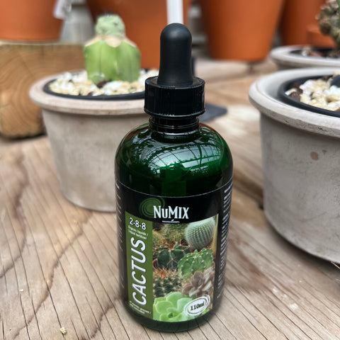 Numix liquid cactus fertilizer