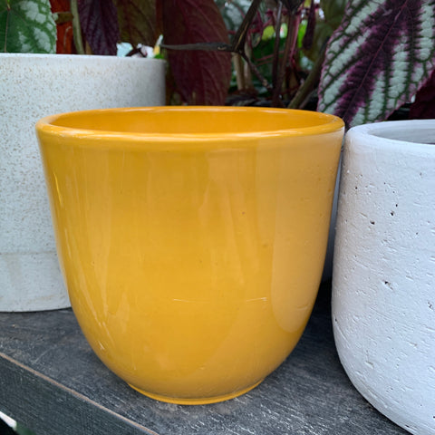 Yellow Tusca plant pot 