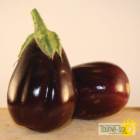 Black Beauty Eggplant Seeds *Organic*