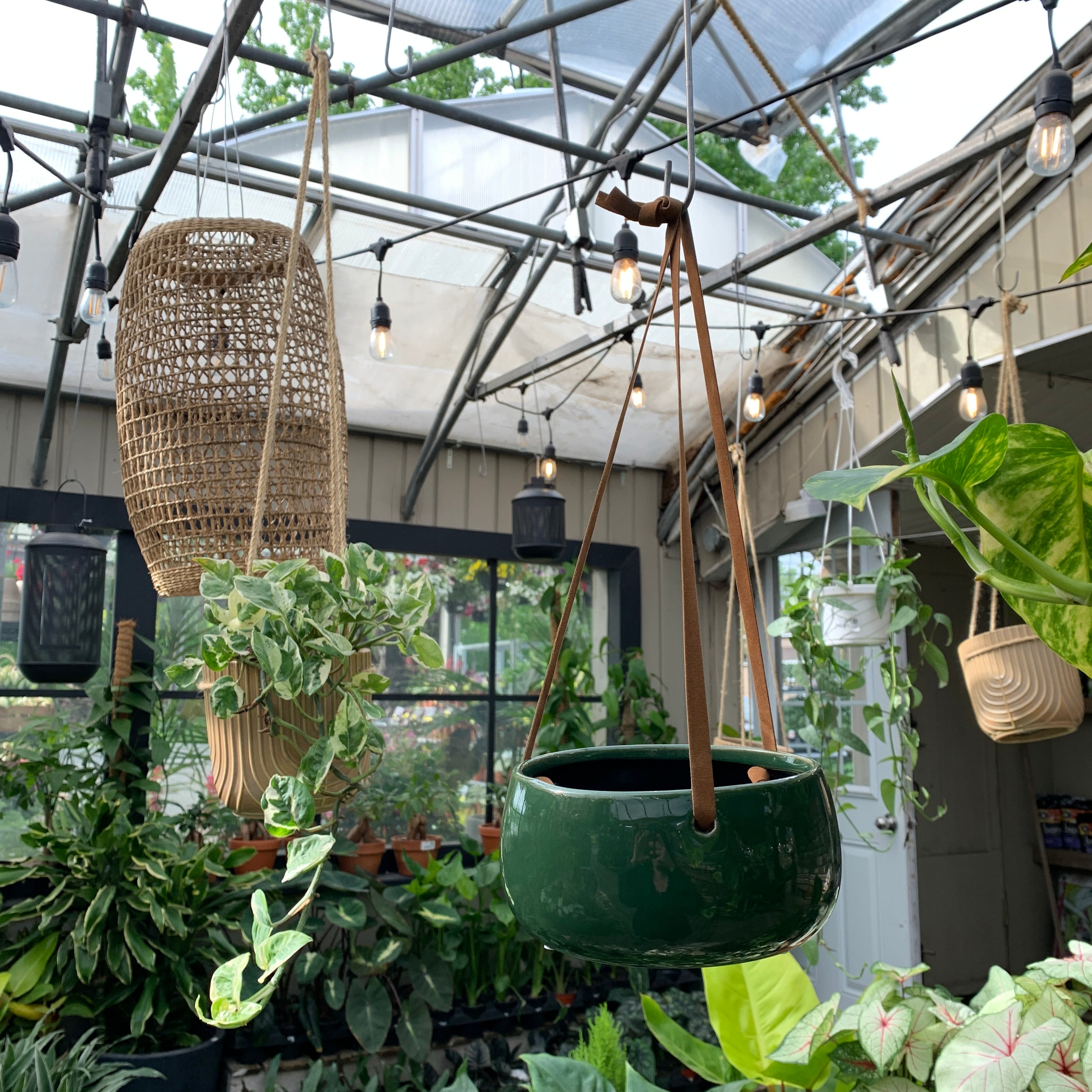 Hanging green planter