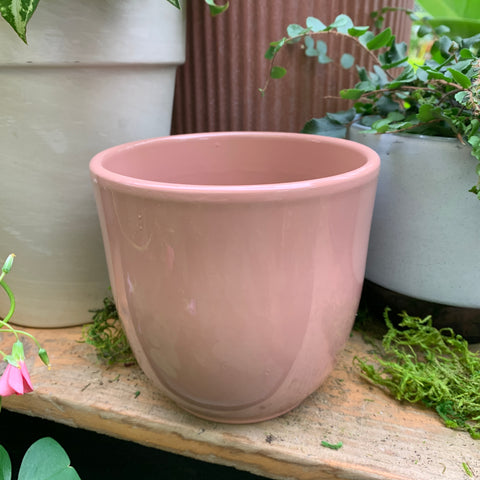 Tusca old pink plant pot 