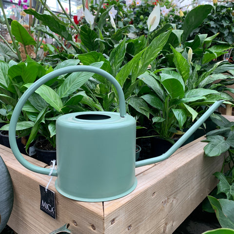 Green MICA plant watering can