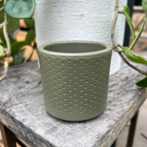 Era green embossed plant pot 2.75 inches 
