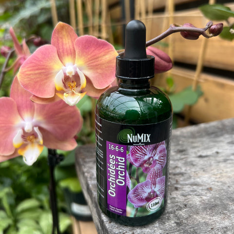 Engrais liquide pour orchidées Numix