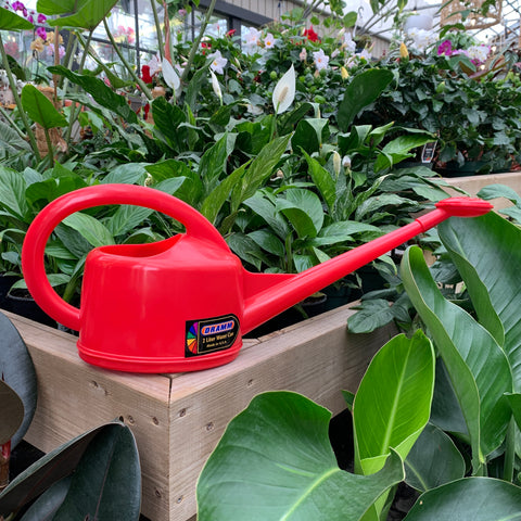 DRAMM red watering can for plants
