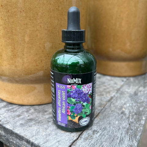 Engrais liquide Violettes africaines Numix