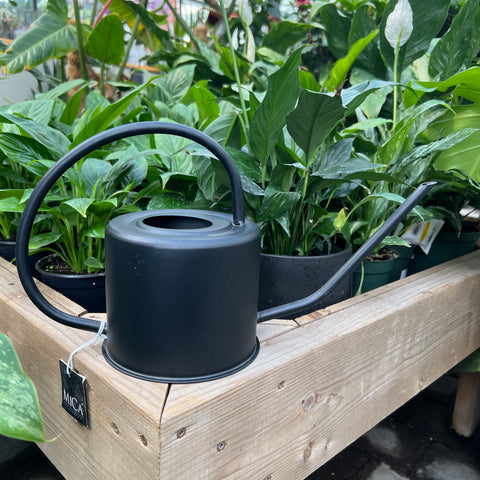 Watering can for plants MICA black