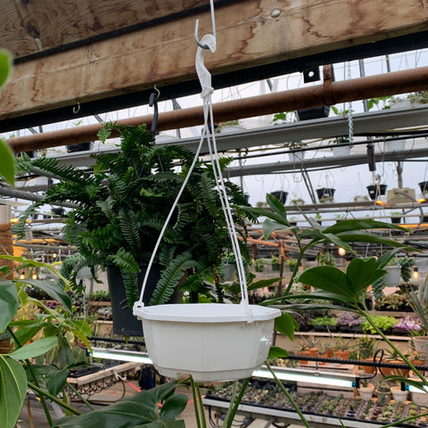 White plastic hanging basket 6 inches
