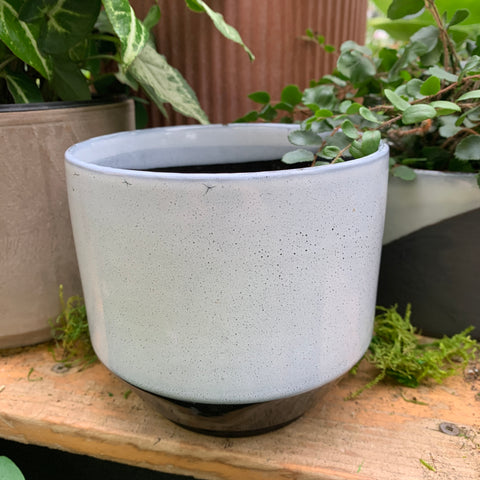 Vanna plant pot 