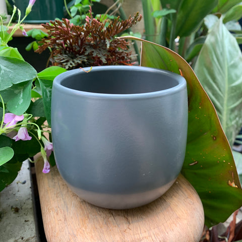Vitoria dark gray plant pot 4.25 inches 
