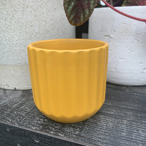 Beam Yellow Plant Pot 3 inches 