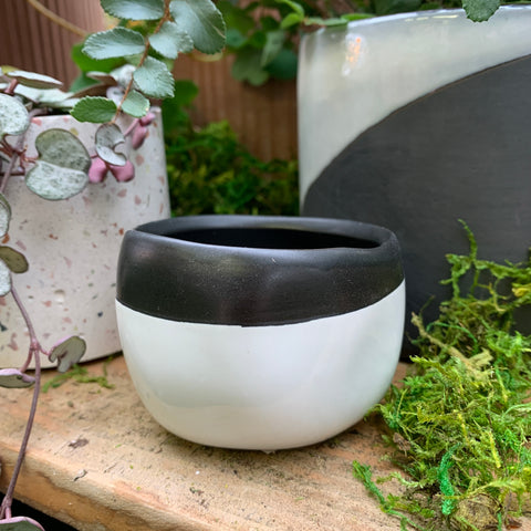 Black and white plant pot 2.5 inches short 