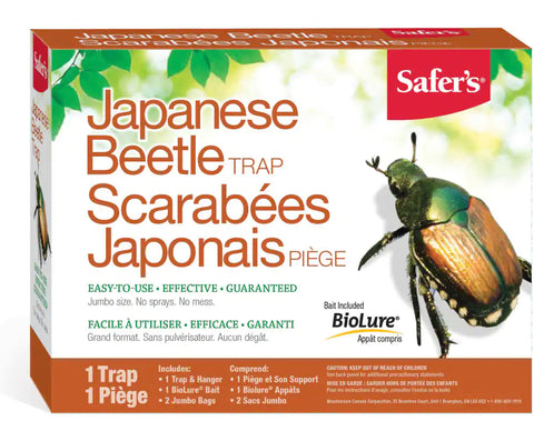 piège a scarabées japonais