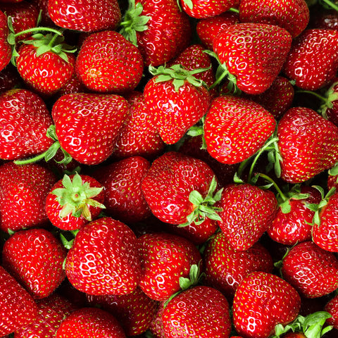 Strawberry Albion Fruits