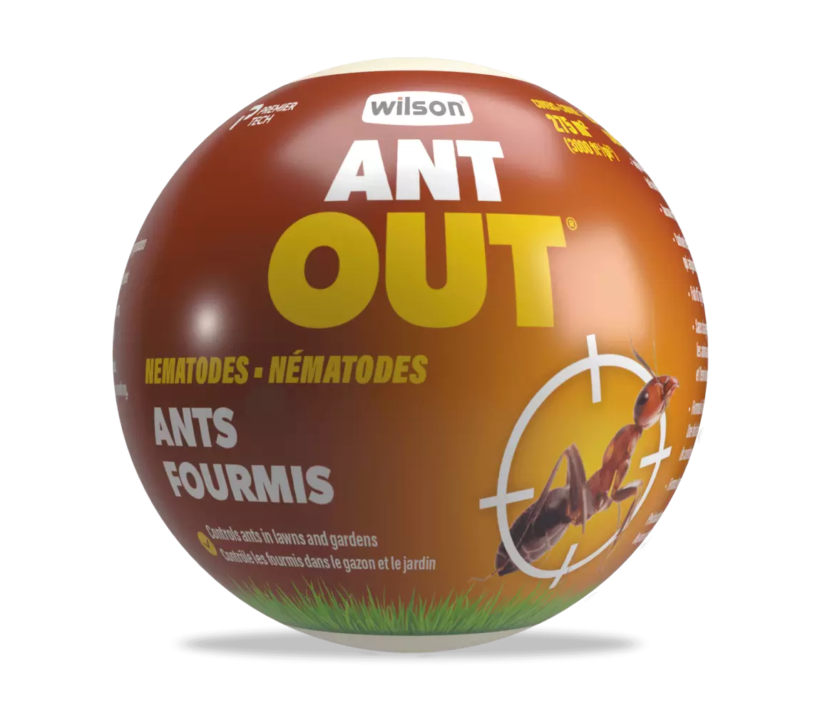 Nematodes for ants